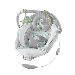 Ingenuity Babywippe Morrison