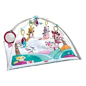 Tiny Love Gymini Deluxe 2-in-1 Spieldecke