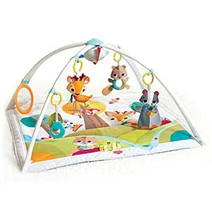 Tiny Love Gymini Deluxe 2-in-1